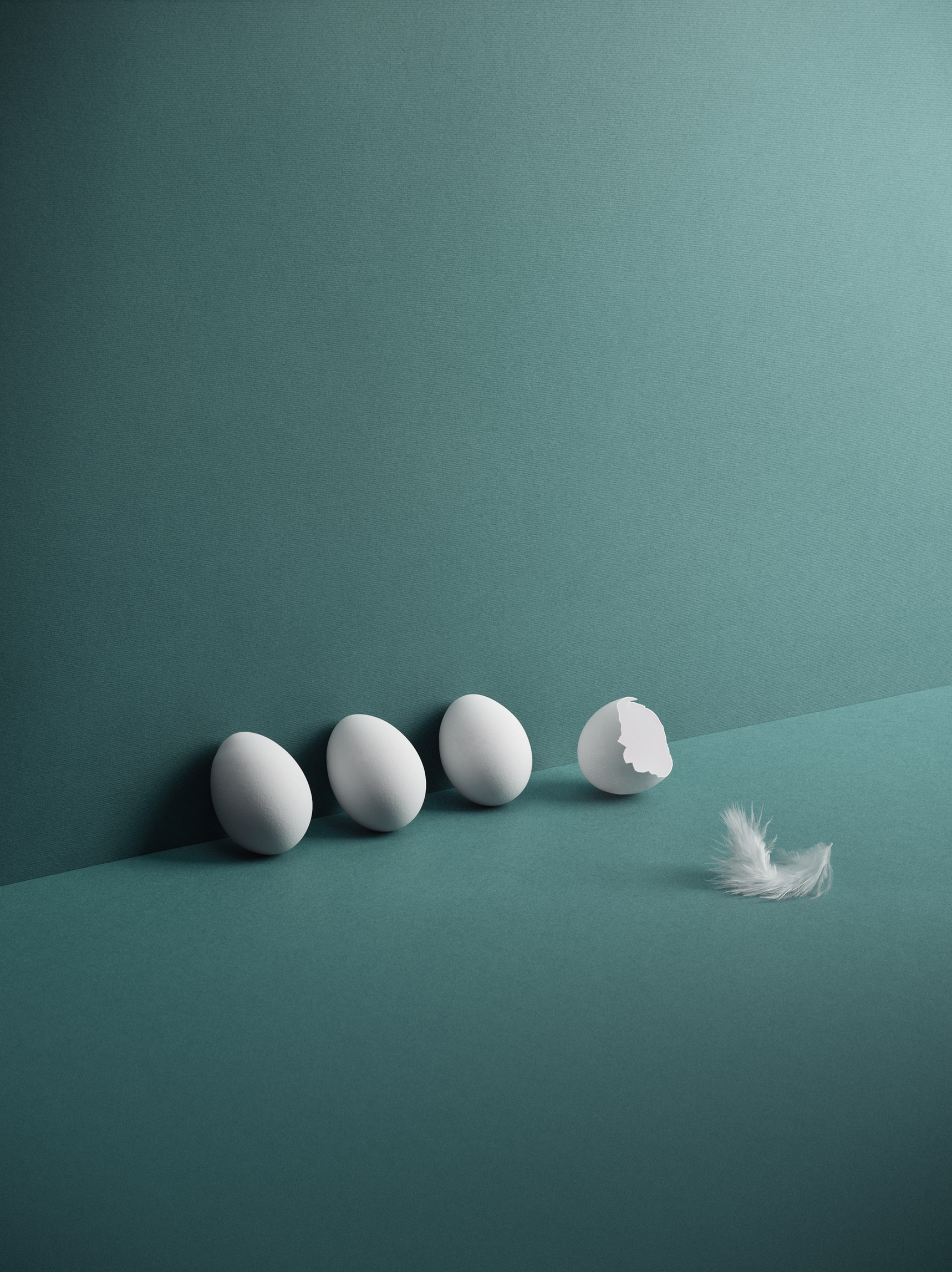 accountor_eggs