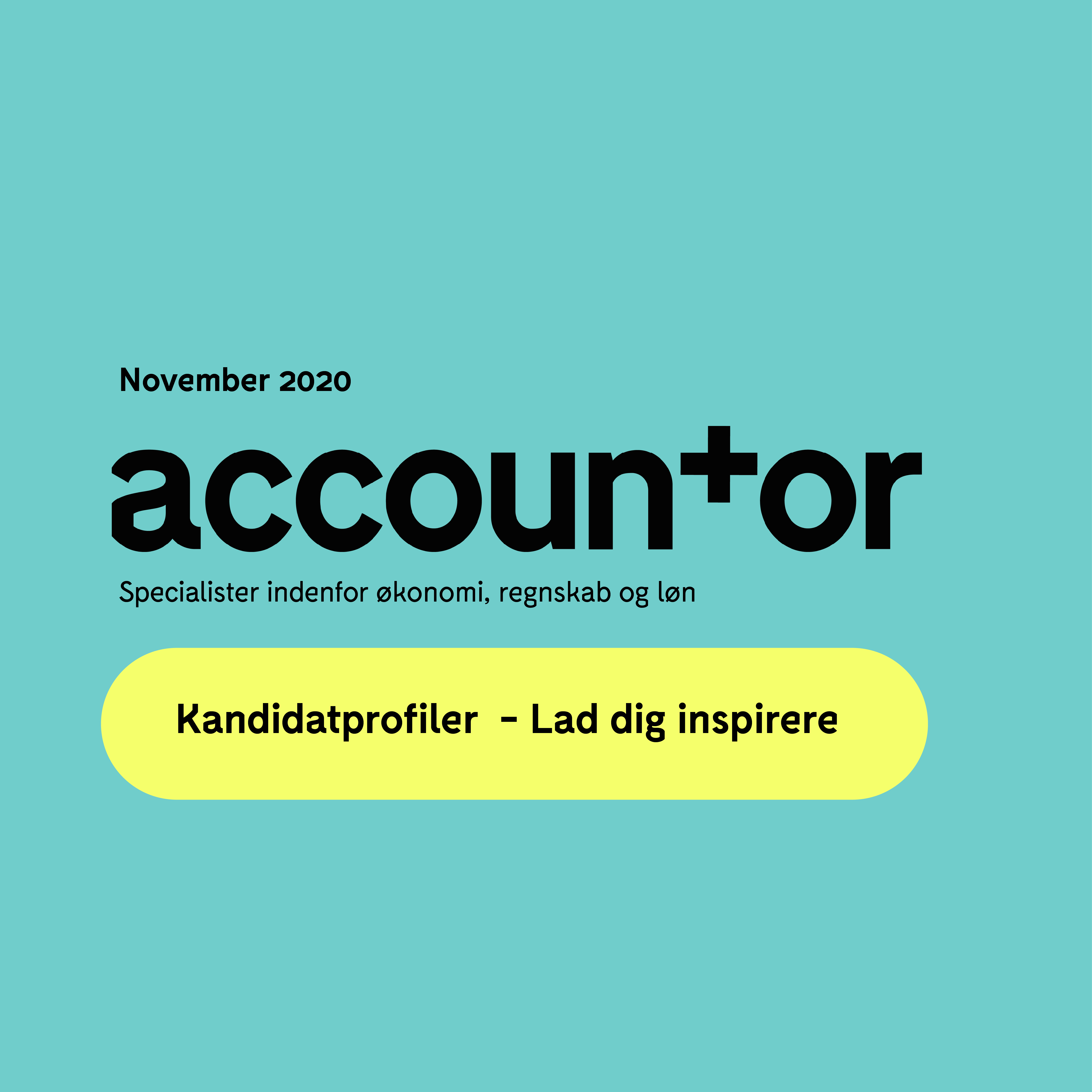 økonomimedarbejdere - kandidatprofiler