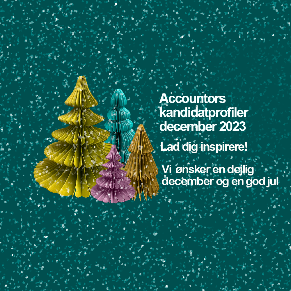 Økonomimedarbejdere - Accountors kandidatprofiler december 2023