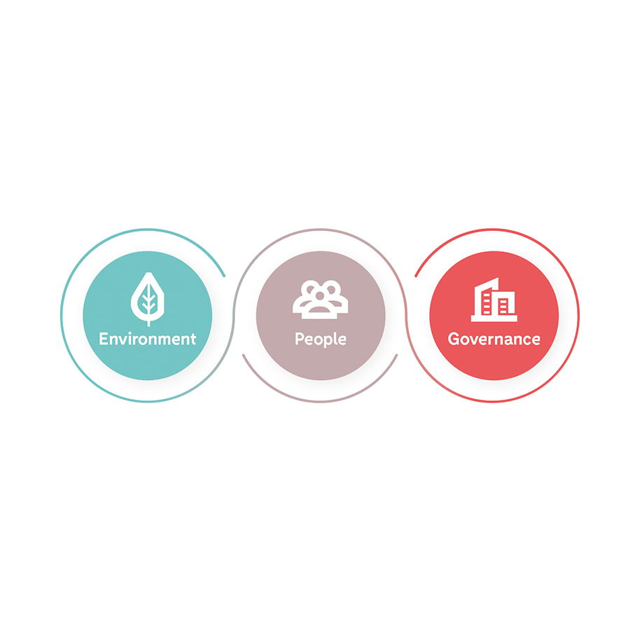 Accountor's sustainability themes: People, Environment, Governance