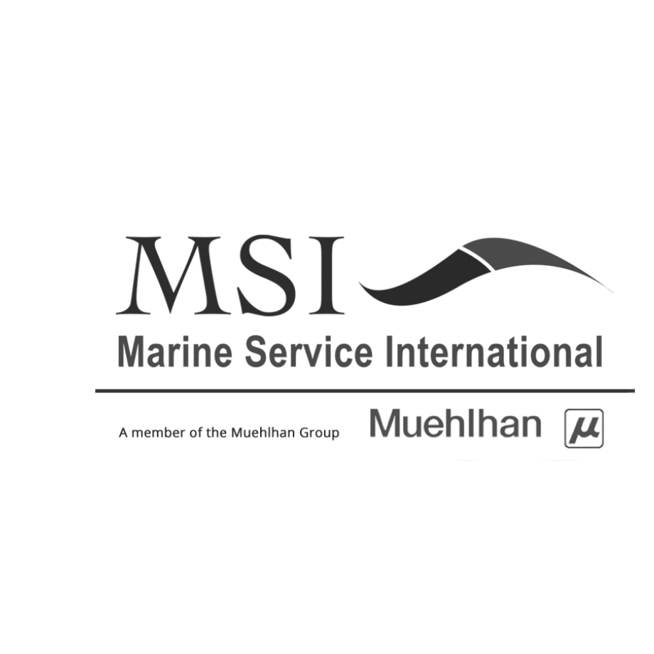 MSI svarthvitt