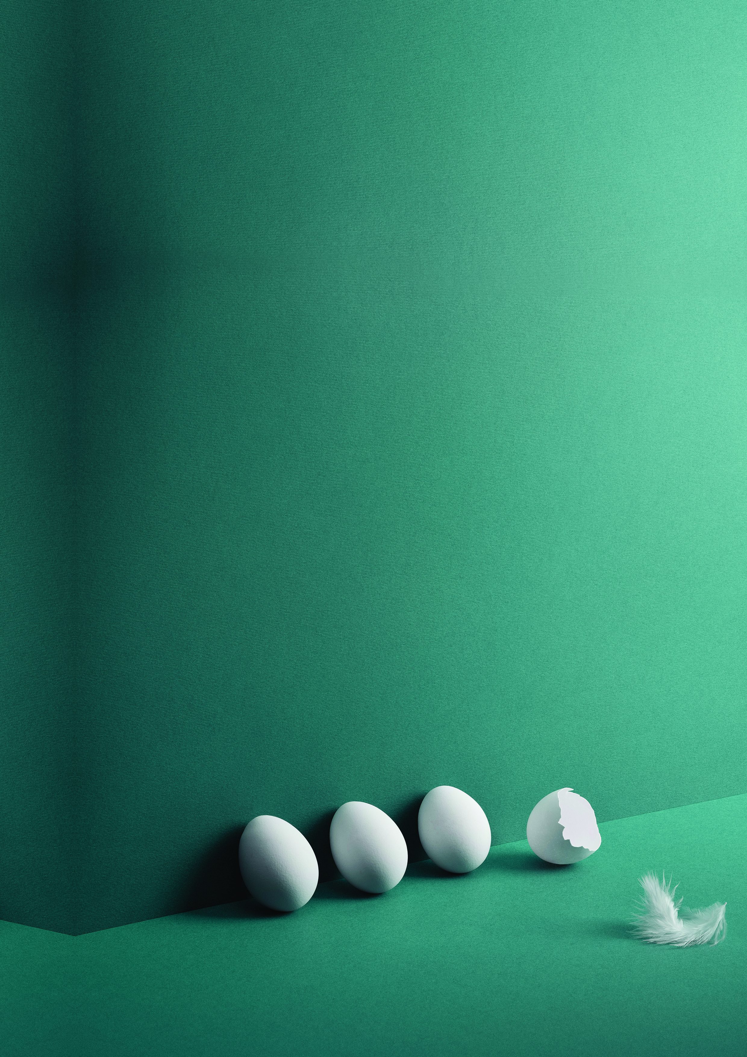 eggs