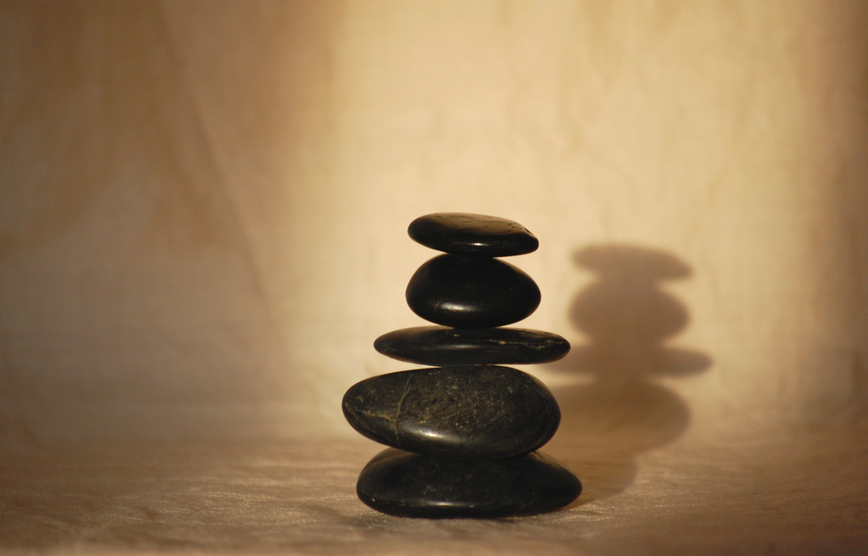 zen_kivet