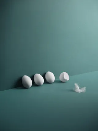 accountor_eggs