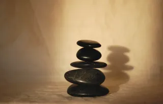 zen_kivet