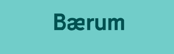 Accountor Baerum