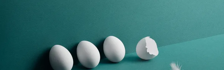 accountor brand desktop egg
