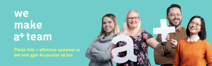 Karriere i Accountor
