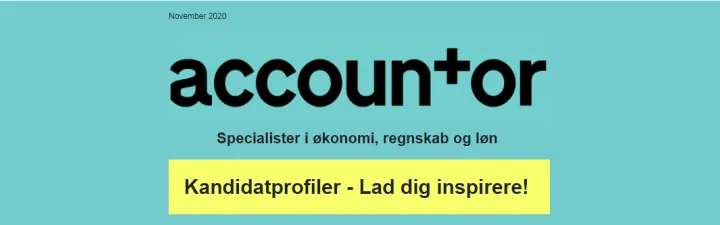 økonomimedarbejdere - kandidatprofiler 