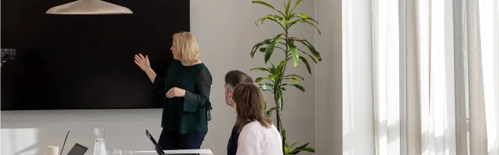 woman presenting in a meeting