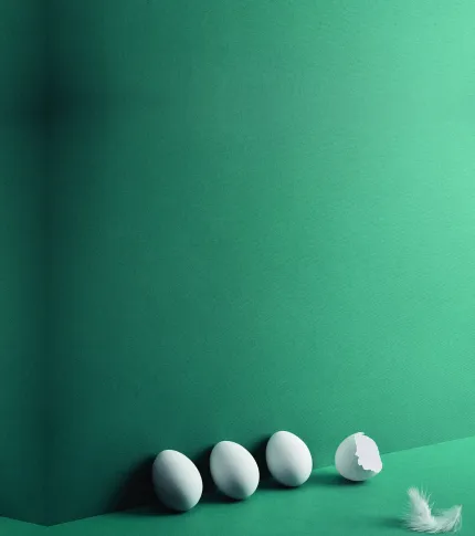 eggs