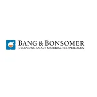 Bang&amp;Bonsomer_logo