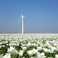 Belastingvoordelen van een bv