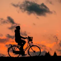 Fiets van de zaak