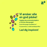 Accountors kandidatprofiler april 2023