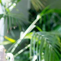 Net assets income taxation finland company net worth