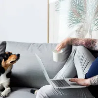 Pienyrityksen kirjanpito Go