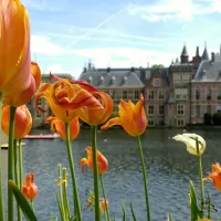 Prinsjesdag 2024