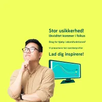 Kandidatprofiler - økonomimedarbejdere