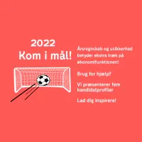 Kandidatprofiler økonomimedarbejdere - Accountor Denmark