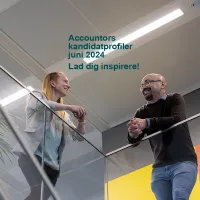 Økonomiprofiler - Accountor Denmark