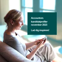 Accountors kandidatprofiler november 2023