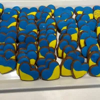 yellow-blue cookies