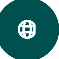 Services for foreign companies in Russia